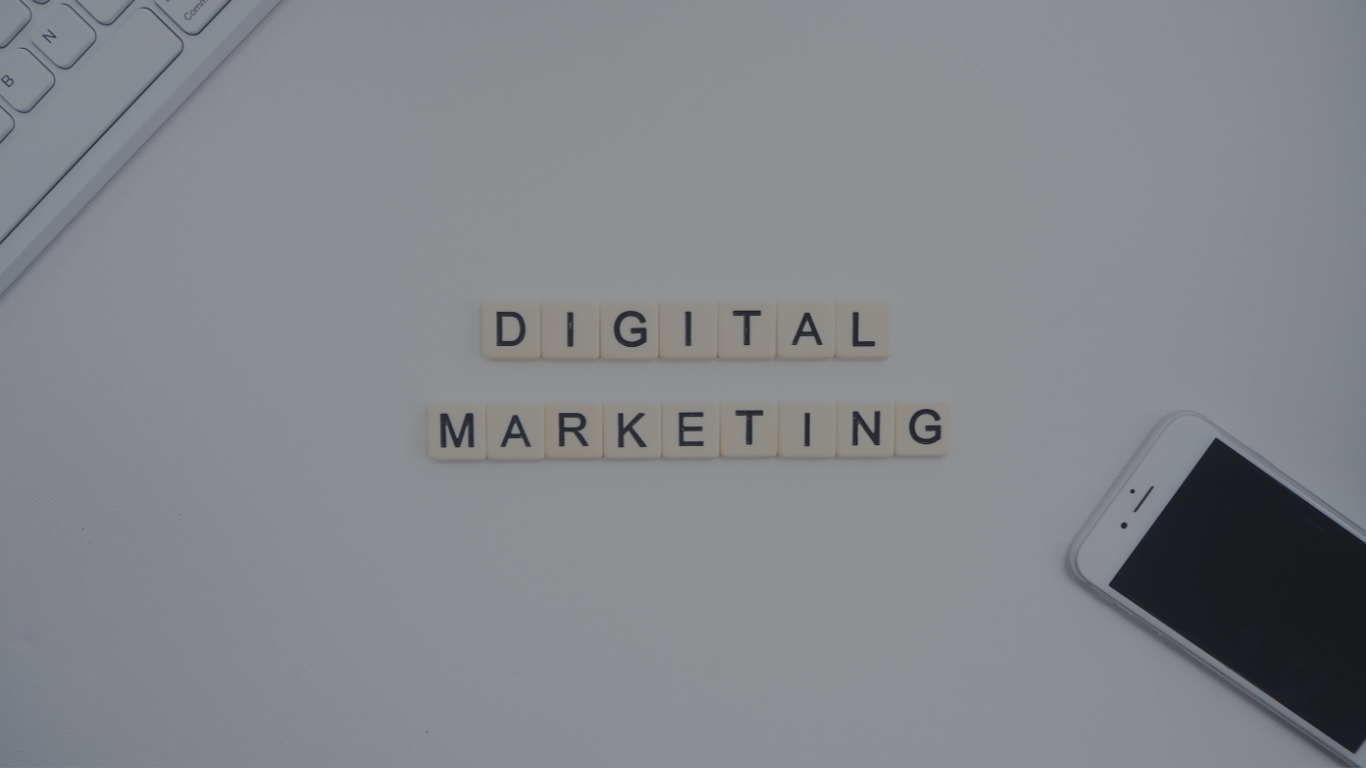 digital marketing in new zealand